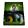 Gro�ansicht 1