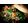 big view 4
