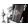 Gro�ansicht 5