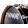 Gro�ansicht 6