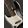Gro�ansicht 8