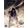 Gro�ansicht 2