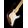 Gro�ansicht 10