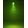 Gro�ansicht 15