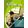 Gro�ansicht 1