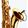 Gro�ansicht 2