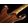 Gro�ansicht 10