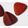 Gro�ansicht 1