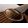 Gro�ansicht 8