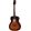 Takamine EG5013SVFT in folk gitaren