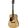 Cort Earth 100LH in Lefthanded Acoustic Guitars
