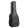 Reunion Blues Continental Dreadnought in Cases for Acoustic Guitars