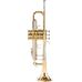 Bach 180-37G ML Trumpet in Trompettes Sib