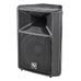 EV SX300E Black-System 2000 in Passive Fullrange Lautsprecher