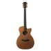 Lakewood M-14 CP in Folk Gitarren