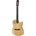 Godin Multiac Nylon SA HG in Sonstige Konzertgitarren
