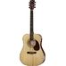 Cort Earth 70 NS in Dreadnought Guitars