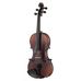 Karl H&ouml;fner Special Edition 2 4/4 in Violins and Violas