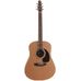 Seagull S6 The Original in Dreadnought Guitars