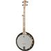 Deering Goodtime 2 in Banjos