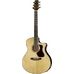 Walden CG600CEG Concorda in Miscellaneous Western Guitars