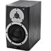 Dynaudio BM5A MKII in Aktive Nahfeldmonitore