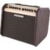 Fishman Loudbox Mini in Acoustic Amplifiers