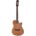 Godin Multiac Encore in Miscellaneous Concert Guitars