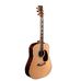 Sigma Guitars DR-41 in Dreadnought Gitarren