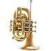 Carol Brass CPT-3000-GLS-Bb-SLB in Bb-Trumpetit