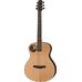 Walden B1E in Miscellaneous Western Guitars