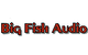 Big Fish