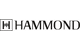 Hammond Suzuki
