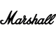 Marshall Amplification