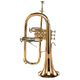 Bach 183G Bb Flugelhorn