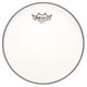 Remo 10" Ambassador Coated