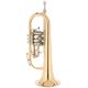 B&S 3017/2TR- L Bb Flugelhorn