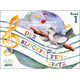 Schuh Verlag Der Blockfl&ouml;tenspatz 1