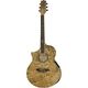 Ibanez EW20LASE-NT LH