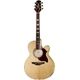 Takamine EG543SC B-Stock