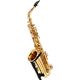 Yanagisawa A-901 Alto Saxophone