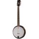 Tennessee Guitar Banjo