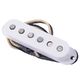 Fender Texas Special Strat Neck