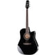 Takamine EF341SC