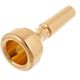 Denis Wick 2 FL Flugelhorn Mouthp 4884