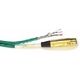 Blue Kiwi Cable