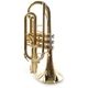 Blessing BCR-XL Cornet