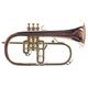 Blessing BFH-1541RT Flugelhorn