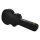 Gretsch Case G6241