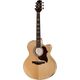Takamine EG523SC